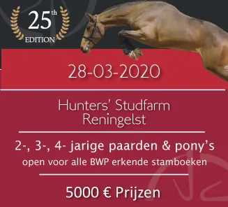 Belgium wins Nations Cup Rotterdam thanks to Espoir and Igor